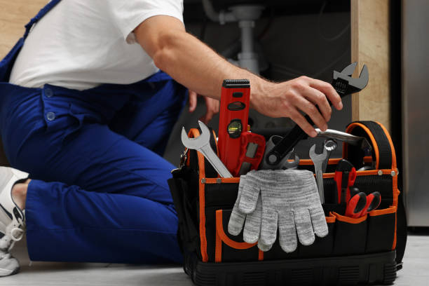 Best Commercial Plumbing Services  in Milan, TN